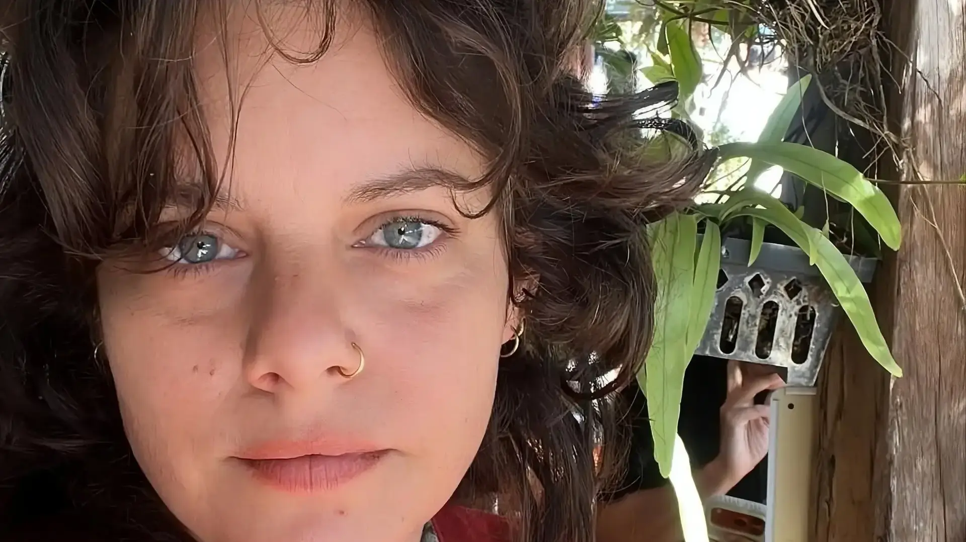 הילי ילון