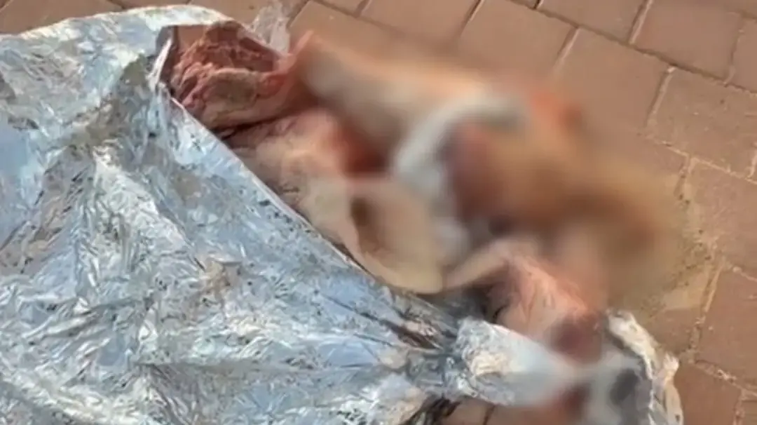 ראשי החזירים הכרותים ליד תראבין