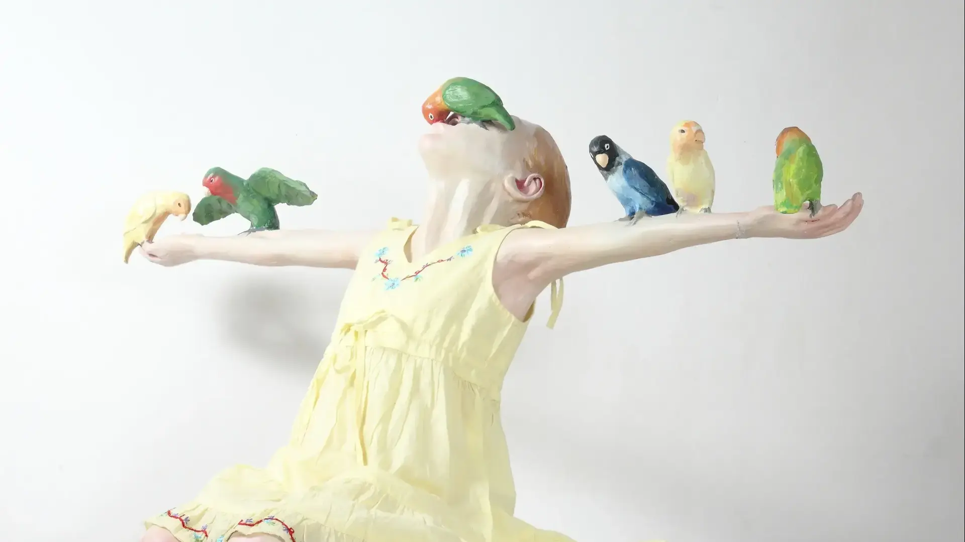 ורד אהרונוביץ, "ציפורי אהבה", 2012, גבס פולימרי ובד