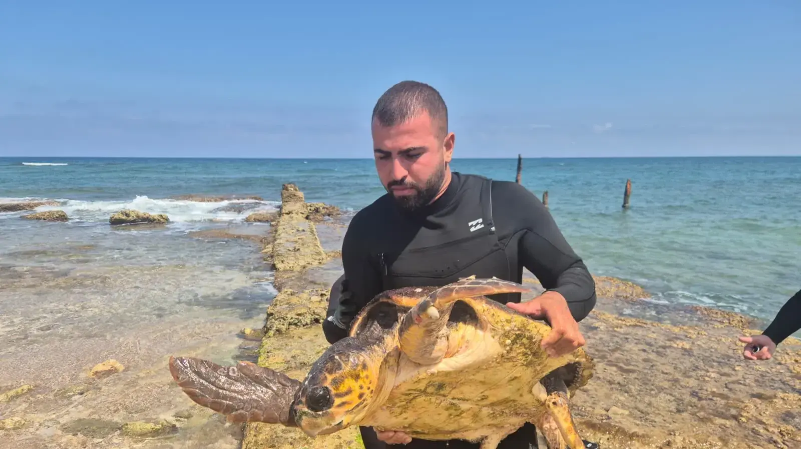 מצילים בחיפה שהצילו דג ים שנתפס בחוט דייג. 9 ביוני 2026