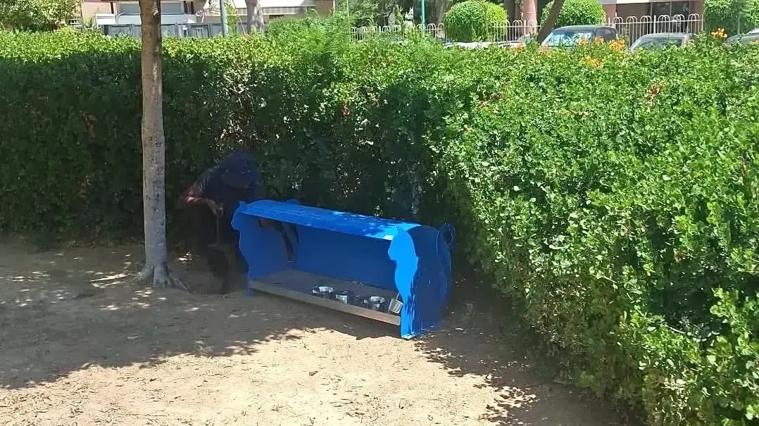 פינות האכלה מוסדרות בבאר שבע
