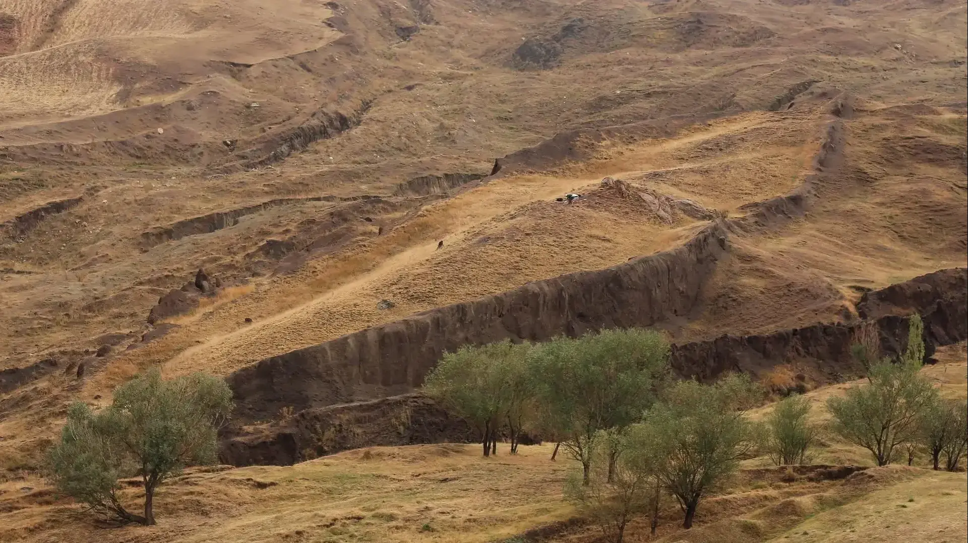 אתר מנוחתה כביכול "תיבת נח" בטורקיה
