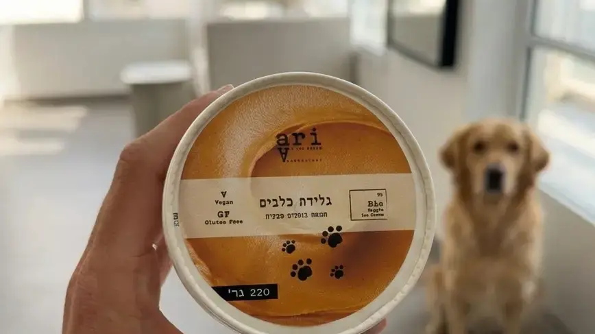 גם להם מגיע! גלידה ארי