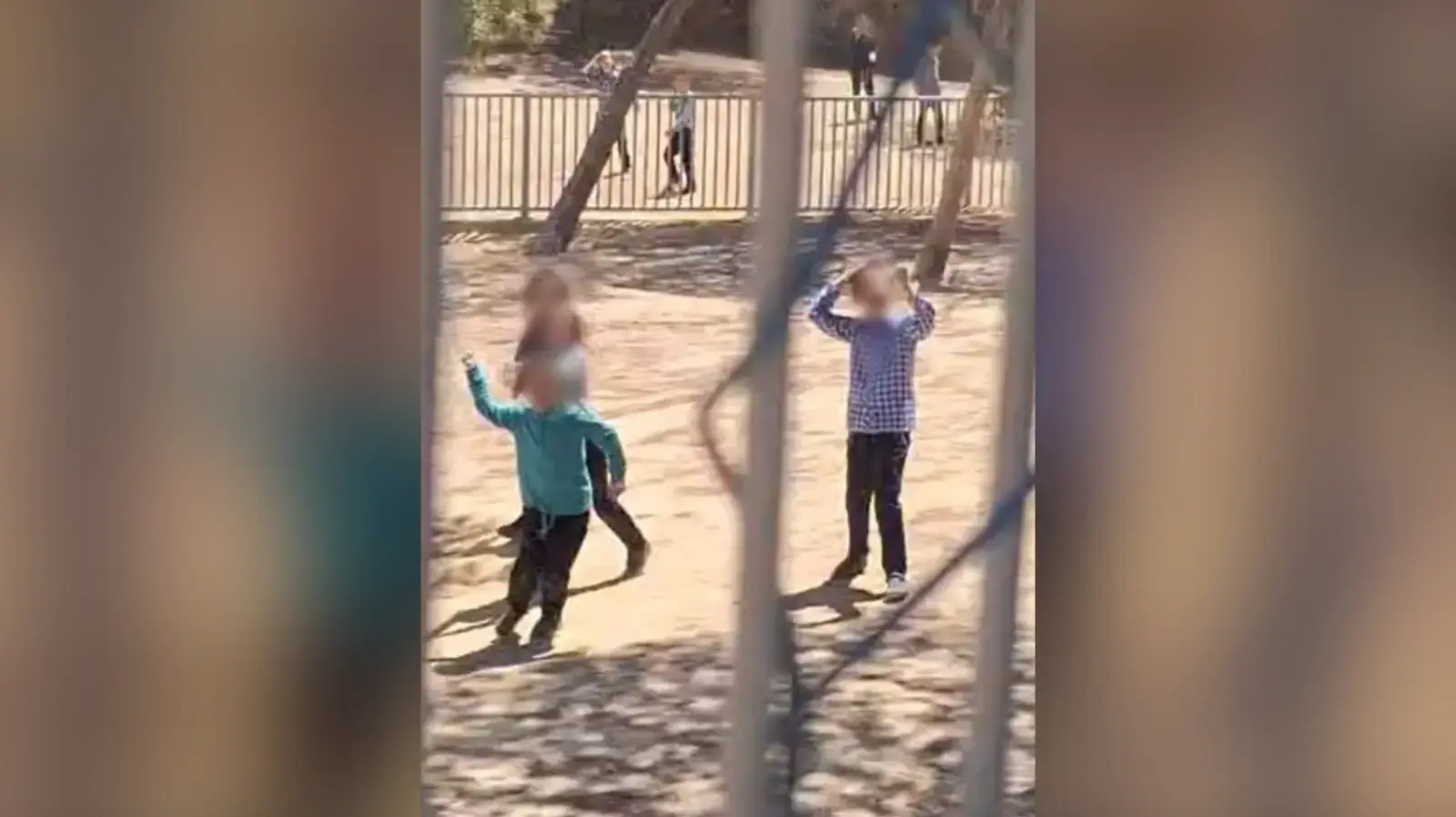 ילדים מיידים אבנים בביה"ס חלמיש