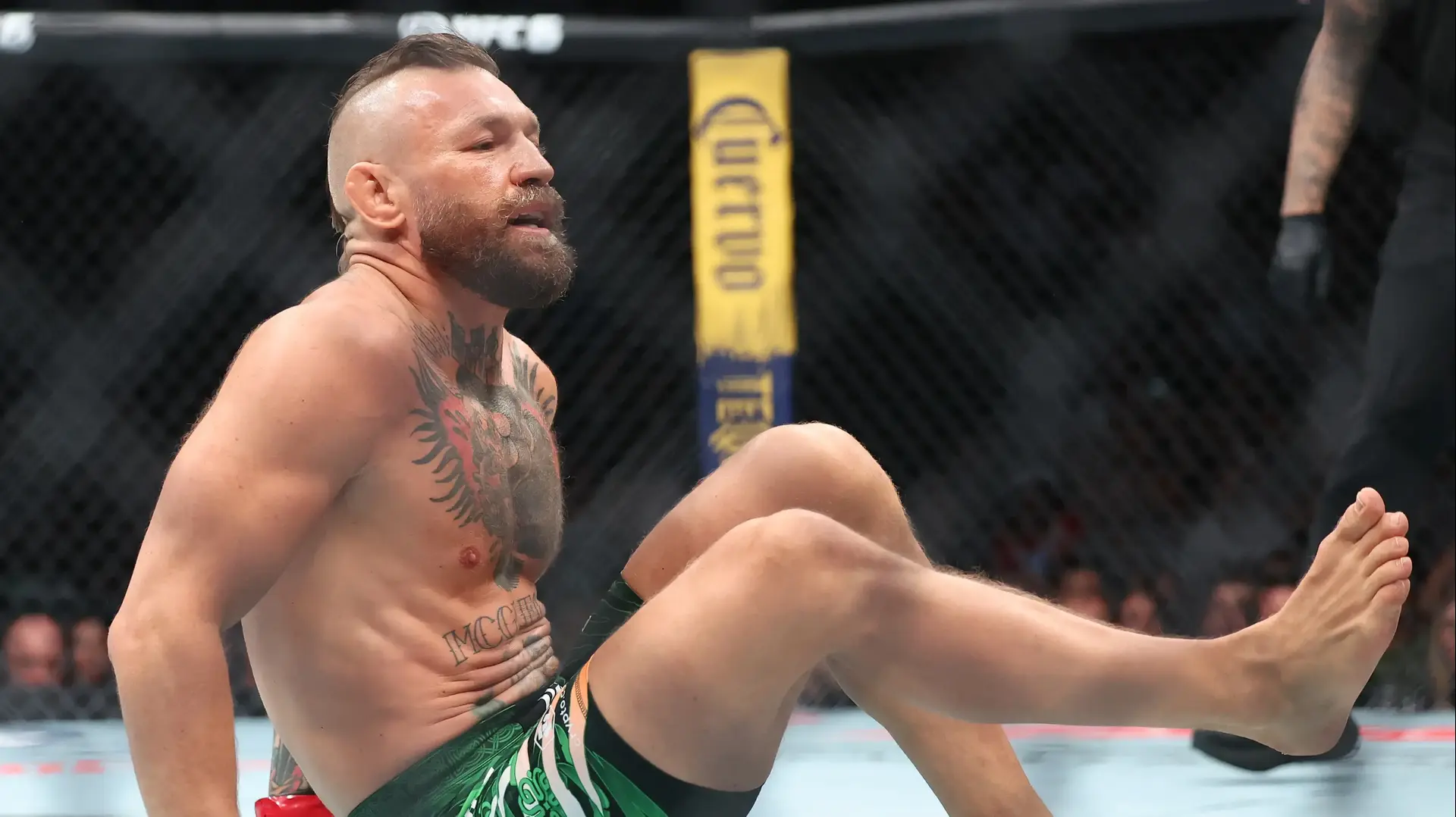 קונור מקגרגור לוחם UFC קונור מקגרגור לוחם UFC