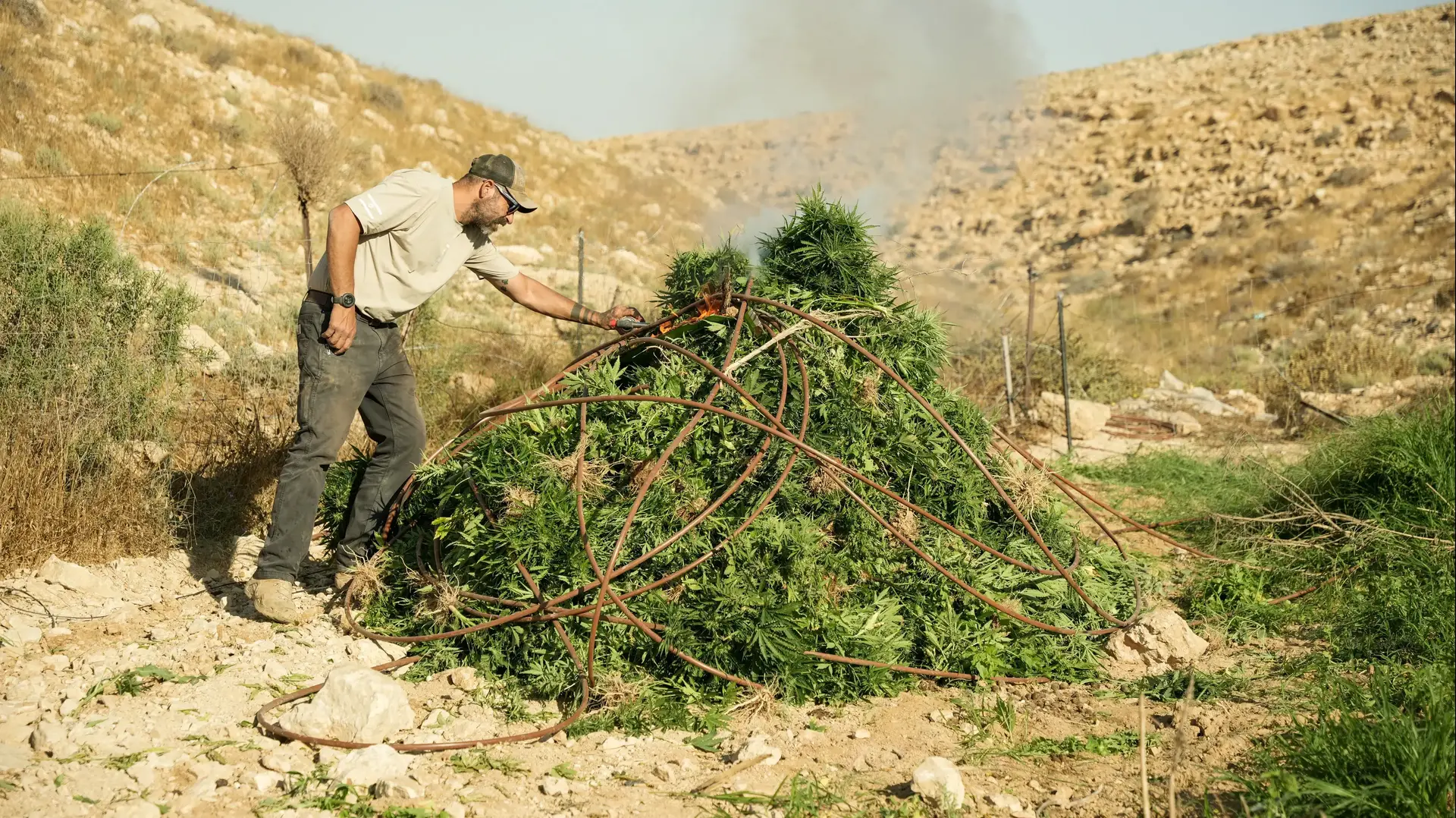 שריפת קנאביס בחממה בשטחי אש באזור שגב שלום
