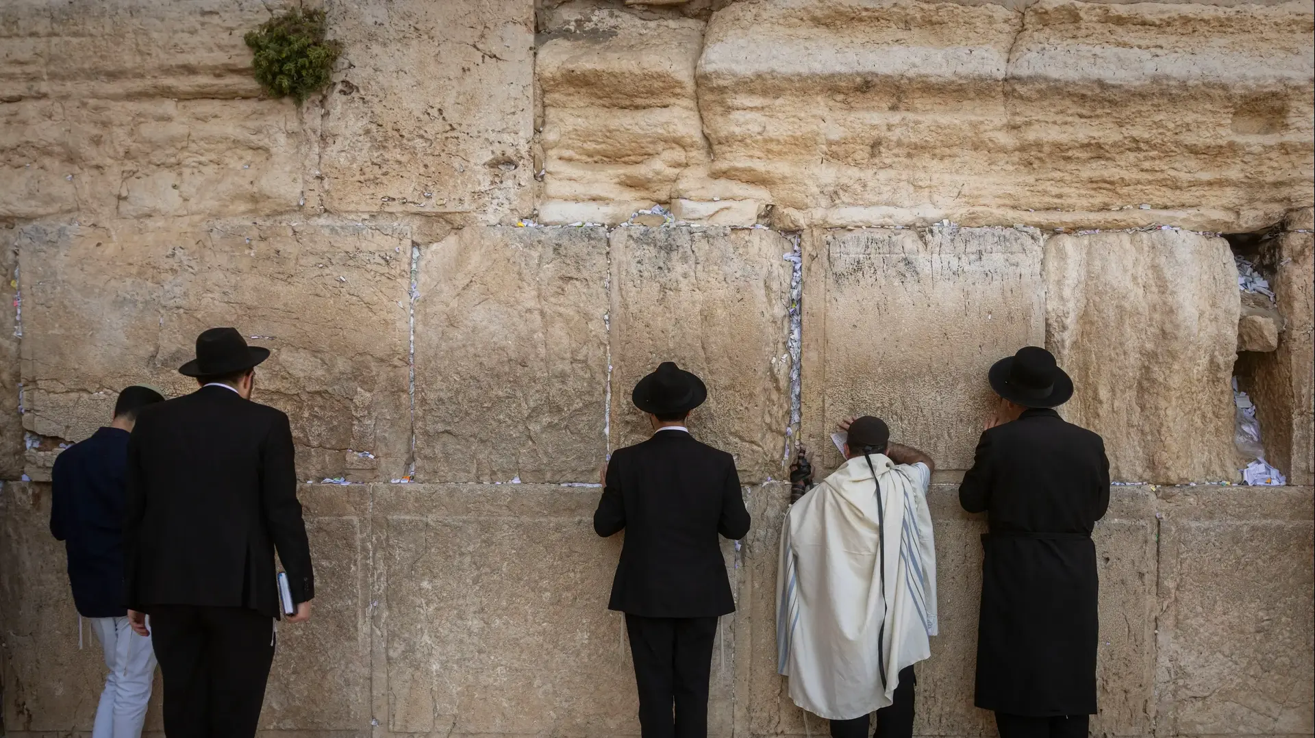 לפני תשעה באב, הכותל המערבי, 22 ביולי 2026