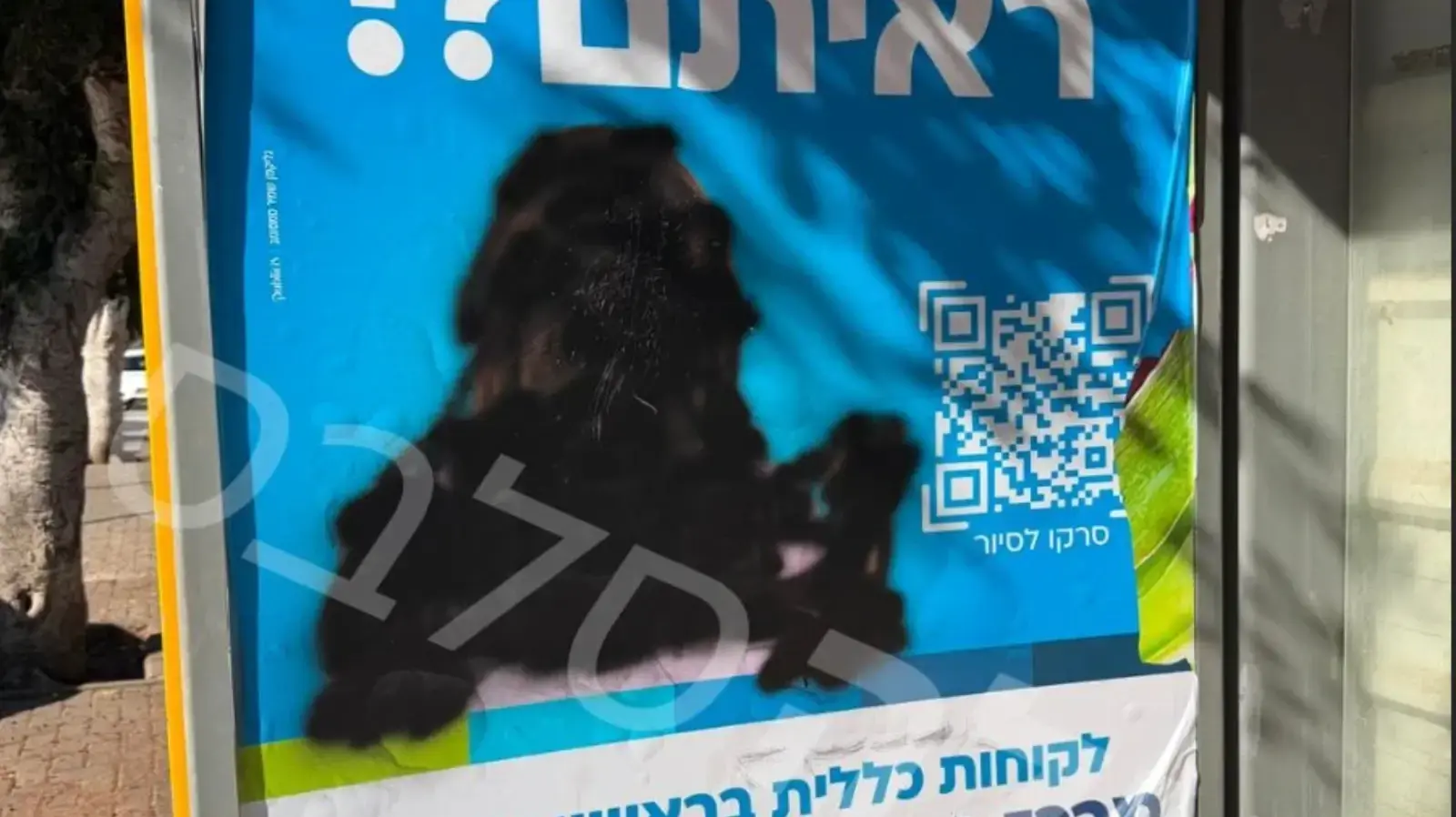 התמונה של יעל בר זוהר שהושחתה