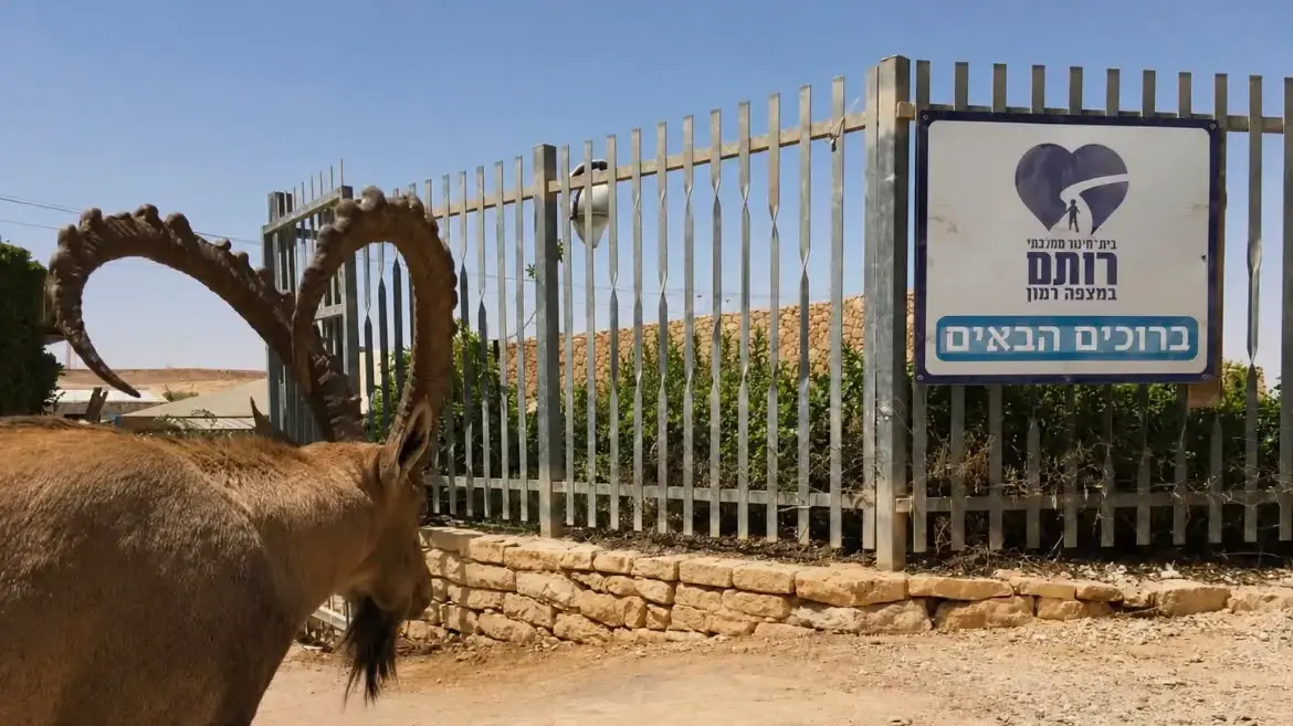 ביה"ס רותם במצפה רמון