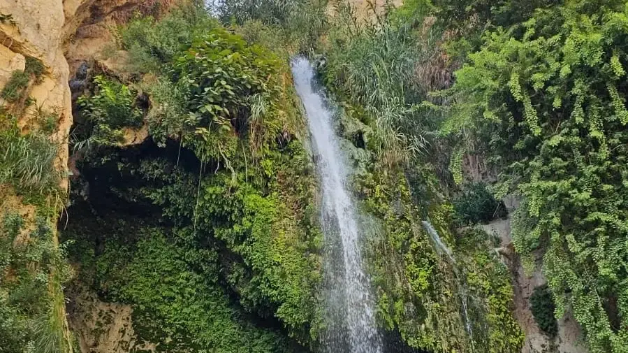 מפל דוד