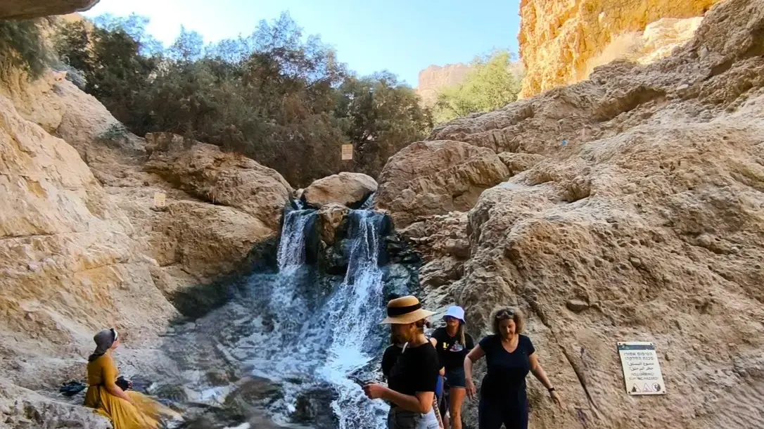 עין בוקק