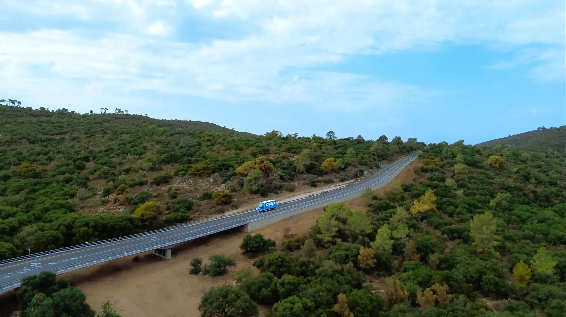 רכב חלוקה של קרגו בדרך, משלוחים מהיום למחר בכל הארץ