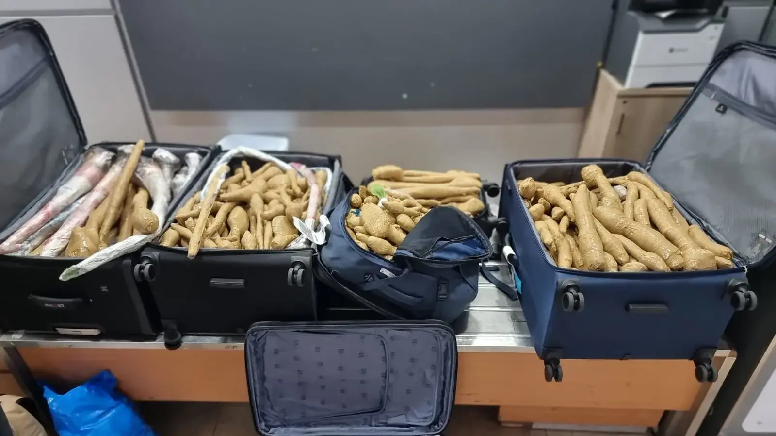 תפיסה חריגה בנתב"ג: רופא ממרכז הארץ ניסה להכניס 300 שתילים מתאילנד ללא אישור של משרד החקלאות