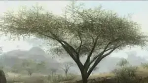 Far Cry 2