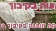 באנר חנות ההפתעות בקיבוץ