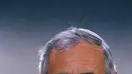 אורי אליצור