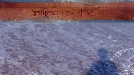 יהודית רביץ דליה רביקוביץ'