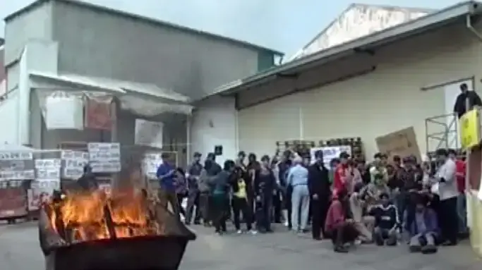 עובדי "עוף העמק" מתבצרים המפעל