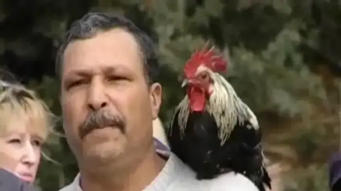 עובדי עוף העמק הגיעו להפגין בכנסת