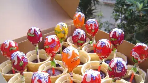 עציצי גביעי גלידה עם אדמת שוקולד ופרח סוכריה
