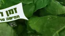 זמן להיות קליל