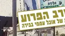 המעורב הפרוע