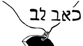 כאב לב