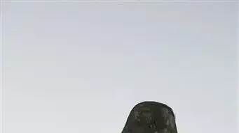 תצוגת ההוט קוטור של שאנל בפריז  חורף 2010