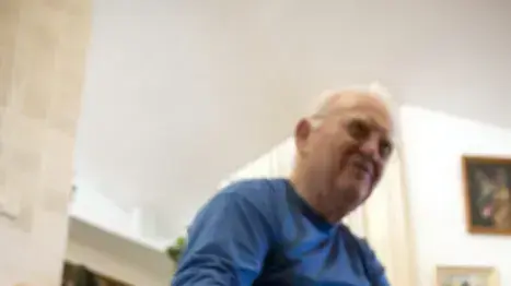 אלווין ואריה שמידט