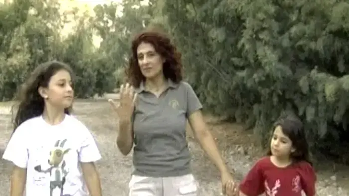 טיפ טיול  עינות צוקים