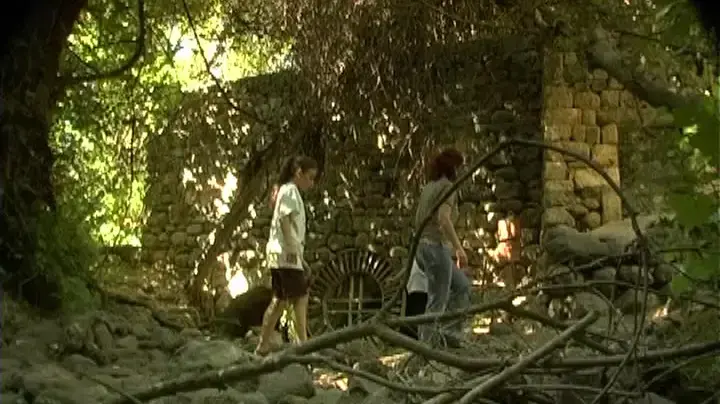 טיפ טיול טל דן טיפ טיול טל דן