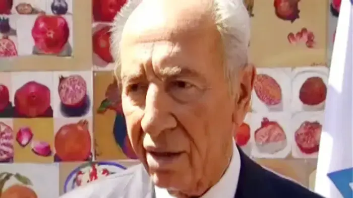 שמעון פרס