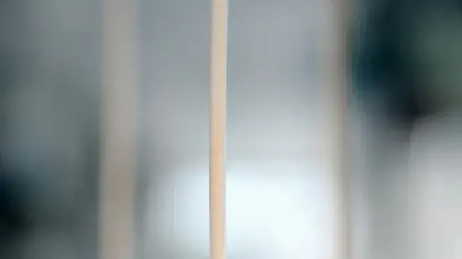 שיפודי גאודה בצל ושום קונפי