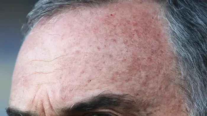 אברהם גרנט מאמן פורטסמות