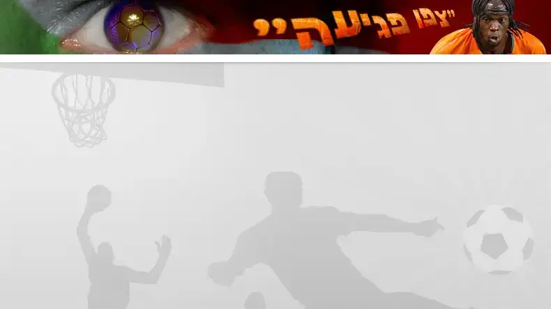 באנר מצעד פלאש