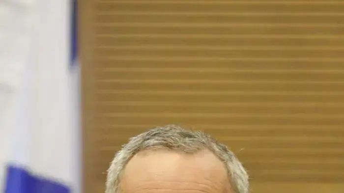 יובל שטייניץ