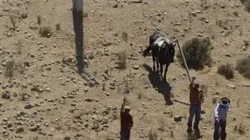 קרלוס סיינז נהג מירוץ ראלי דקאר 2010 קבוצת פולקסווגן