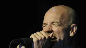 מייקל סטייפ בפסטיבל זיגט