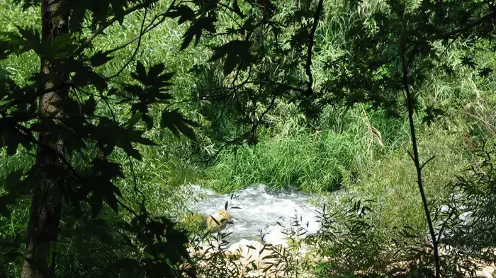 טיפ טיול  נחל שניר