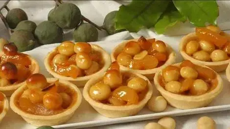 אגוזי מקדמיה  (מועצת הפירות)