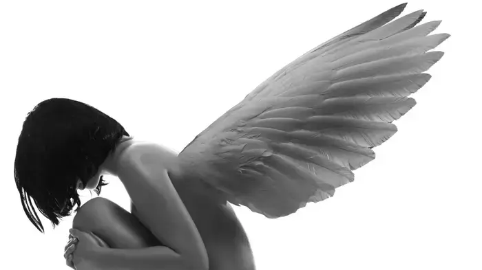 אילוסטרציה