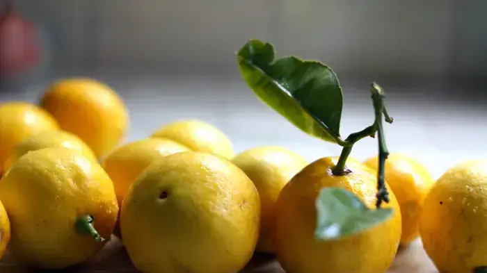 לימונים