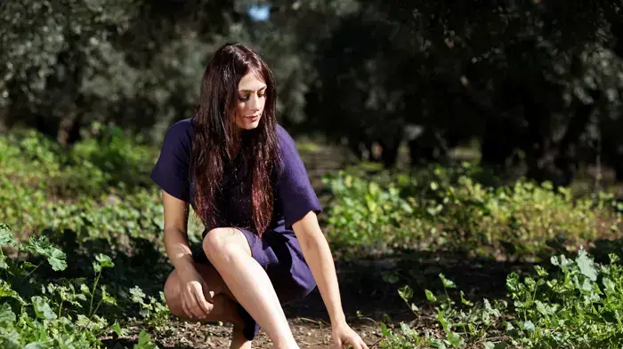 קרן פלס