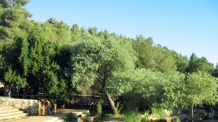 גן לאומי עין חמד