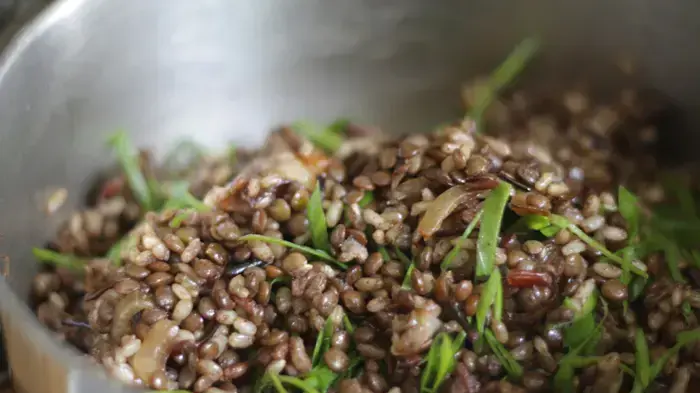 מג'דרה