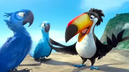 מתוך הסרט RIO