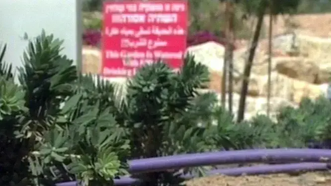 ארגונים ירוקים מציעים חוק להכשרתי מים ממקלחות לשימוש להשקייה
