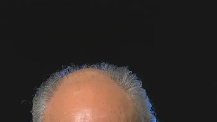 אלי עמיר