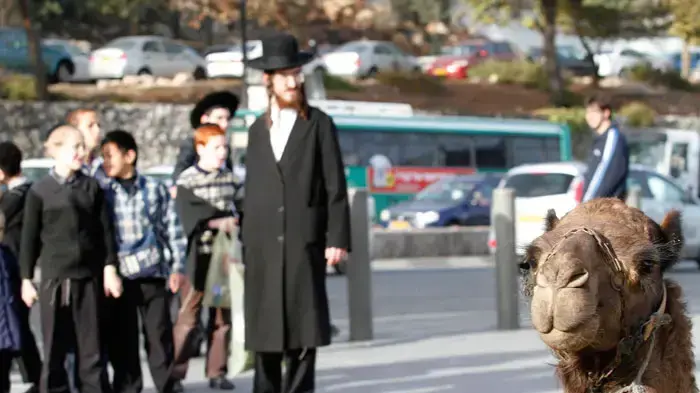 הפגנה של השלטון המקומי בכניסה לירושלים, דצמבר 2010