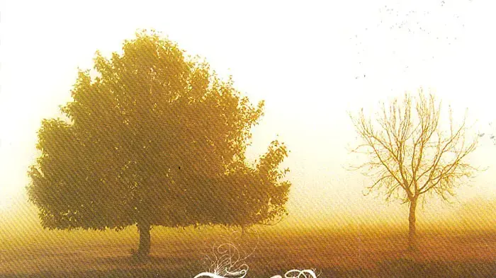 עטיפת האלבום the trees and the bees